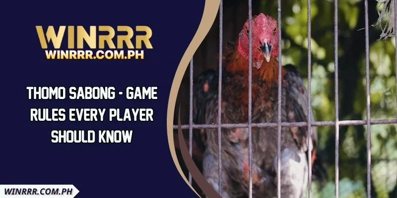 Thomo Sabong - Game Rules Every Player Should Know