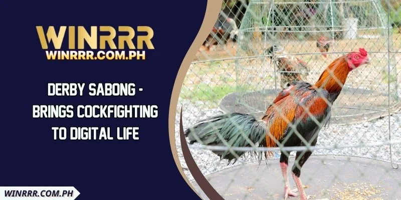 Derby Sabong - Brings Cockfighting To Digital Life