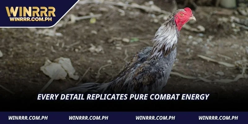 Every detail replicates pure combat energy