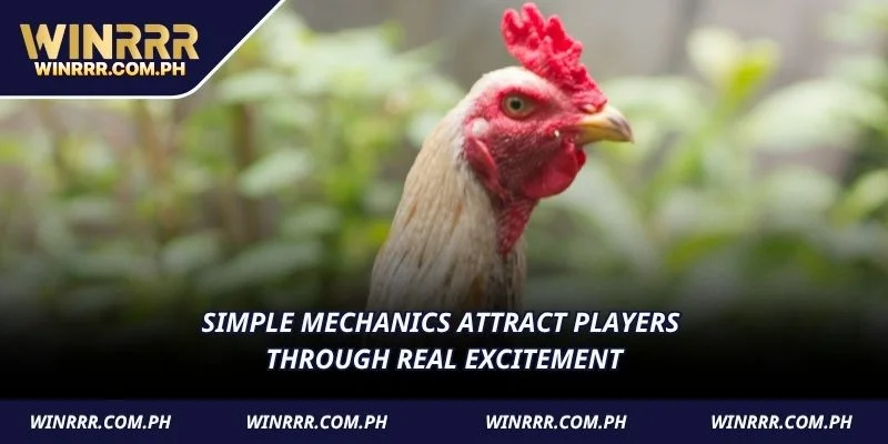 Simple mechanics attract players through real excitement