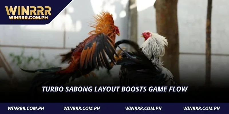 Turbo Sabong layout boosts game flow