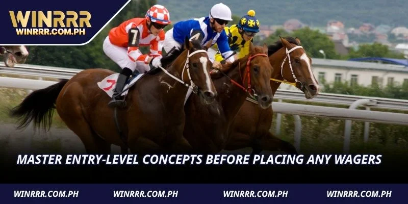 Master entry-level concepts before placing any wagers