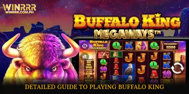 Detailed Guide to Playing Buffalo King