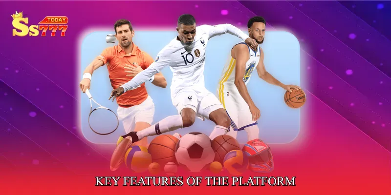 Key Features of the Platform